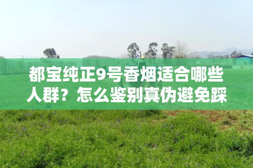 都宝纯正9号香烟适合哪些人群？怎么鉴别真伪避免踩坑？